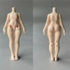 Akagi Doll 1/6 BJD Doll Pear-Shaped Body (30cm) – Customizable Ball-Jointed Doll for Artists and Collectors