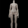 Guard Love 1/4 BJD Doll Rounded Body (Ver.5) – A Stunning Female Ball-Jointed Doll Body for Collectors