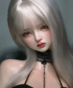 QianQian Rose 1/3 BJD Doll Head bjd sites